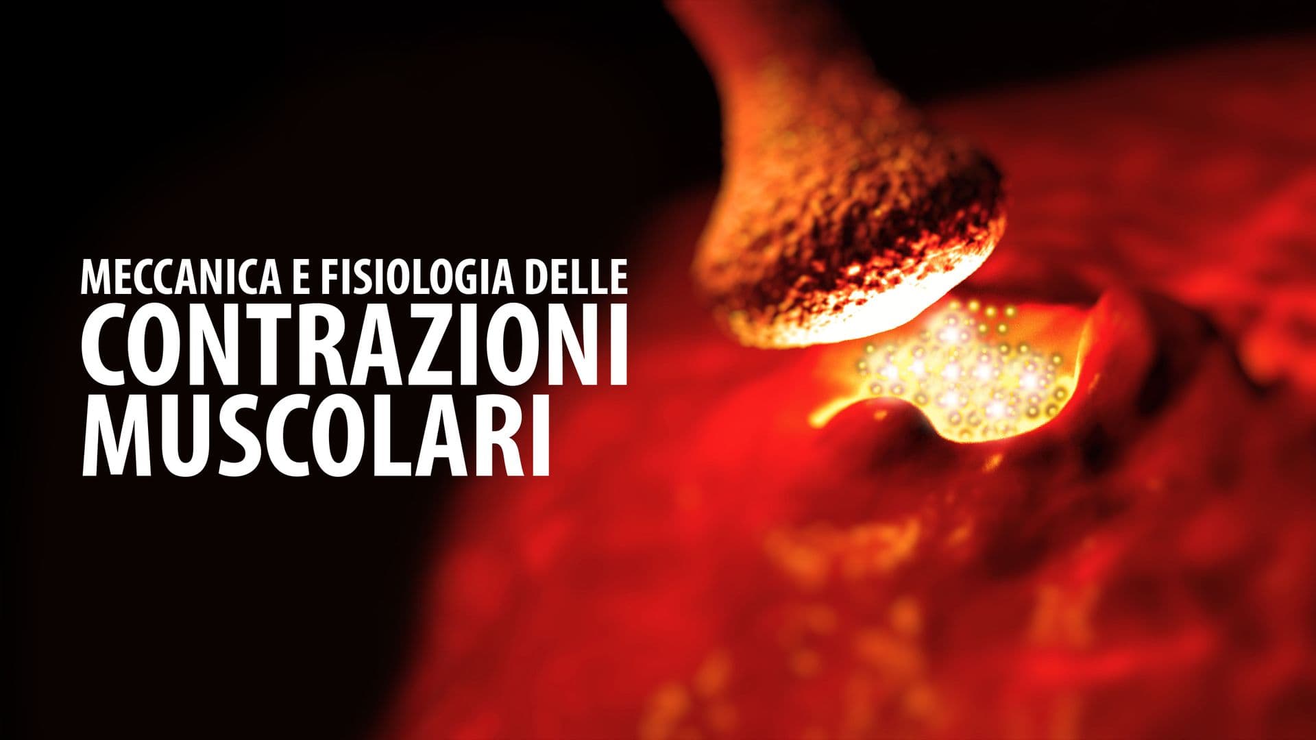 Contrazioni Muscolari Video Corso