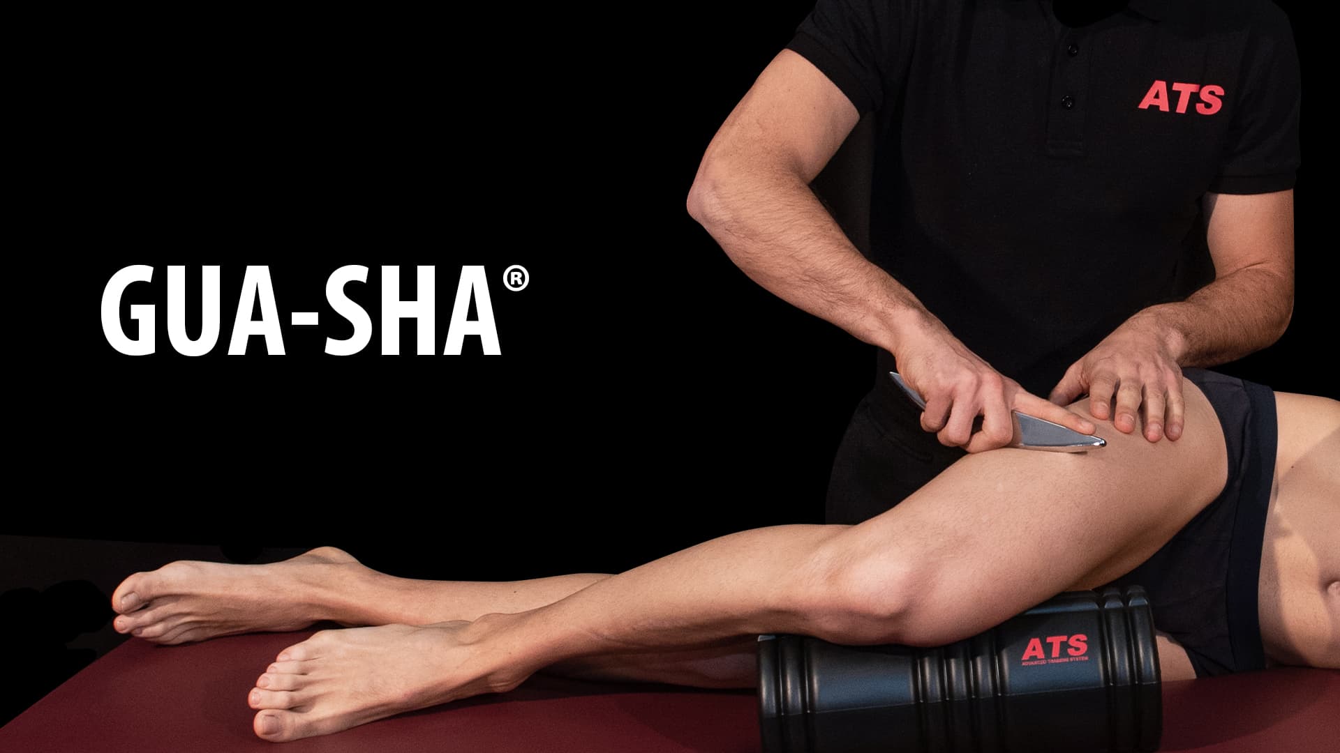 Gua-Sha Video Corso