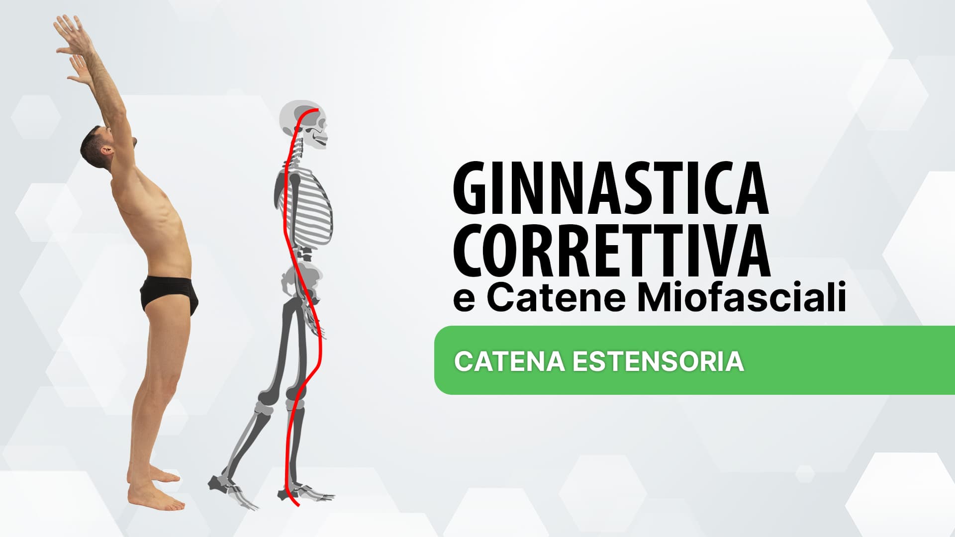 Catena estensoria