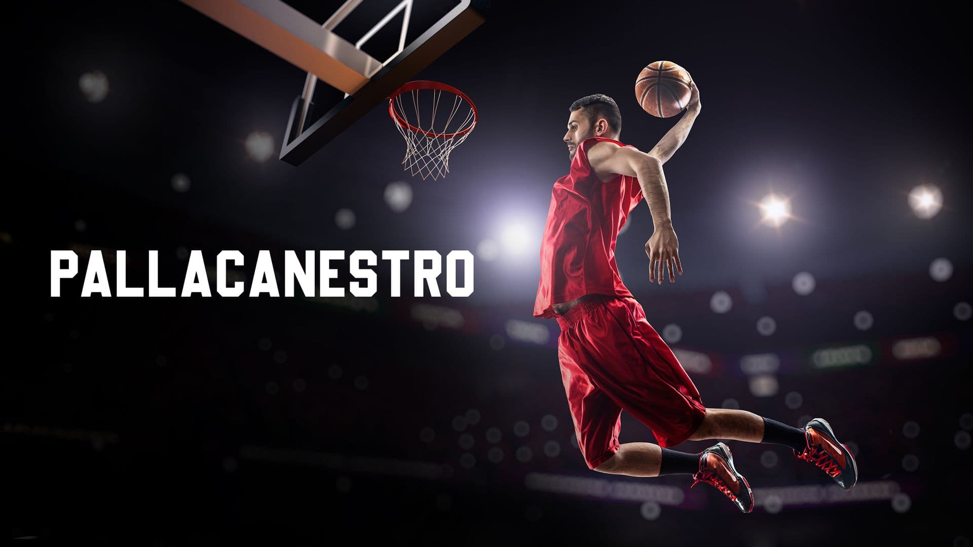 Pallacanestro