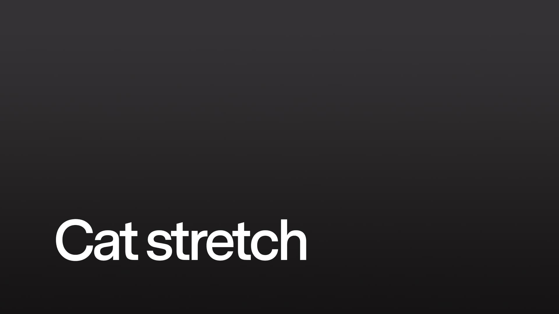 Cat stretch