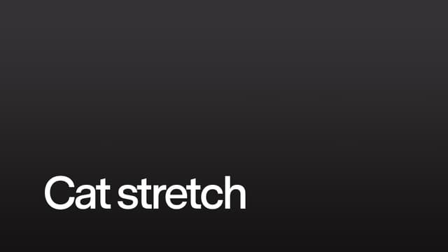 Cat stretch