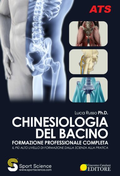 Chinesiologia del bacino