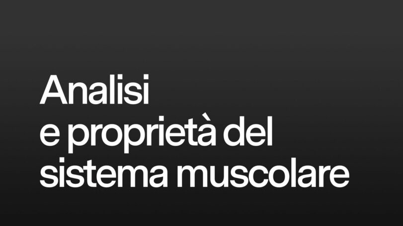 Analisi e proprietà del sistema muscolare