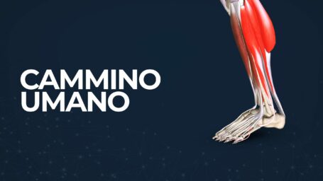 Cammino umano