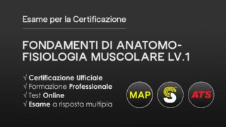 Fondamenti di Anatomo-Fisiologia Muscolare Lv.1