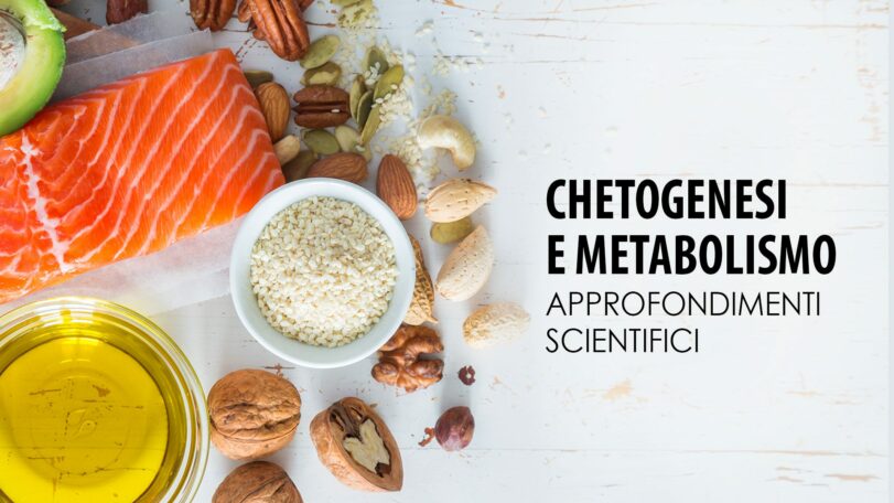 Chetogenesi e metabolismo: approfondimenti scientifici