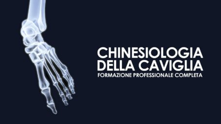 Chinesiologia della caviglia