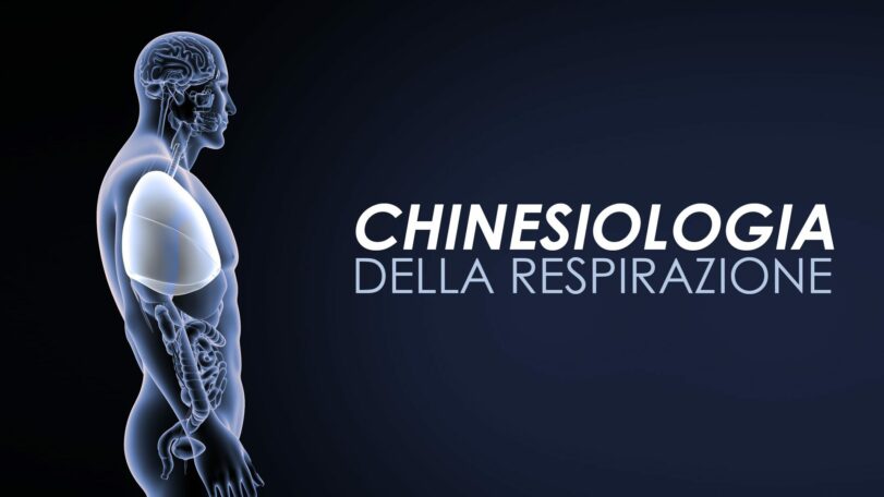 Chinesiologia della respirazione