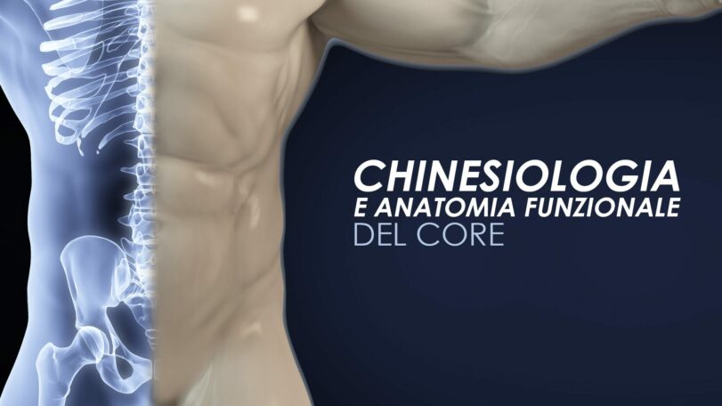 Chinesiologia e anatomia funzionale del core