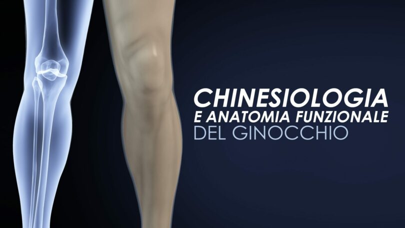 Chinesiologia e anatomia funzionale del ginocchio