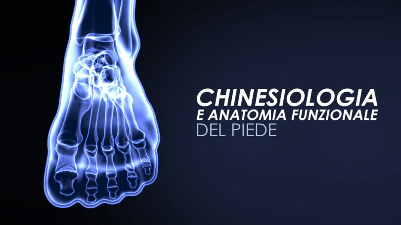 Chinesiologia e anatomia funzionale del piede