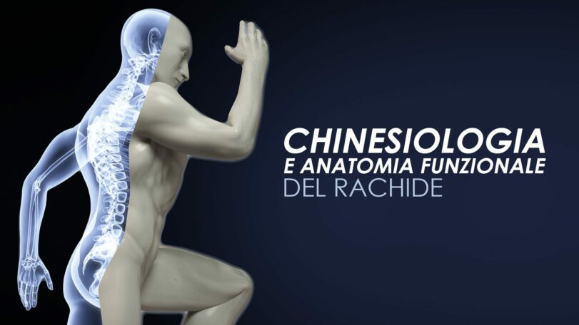 Chinesiologia e anatomia funzionale del rachide
