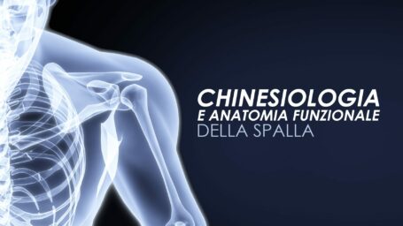 Chinesiologia e anatomia funzionale della spalla