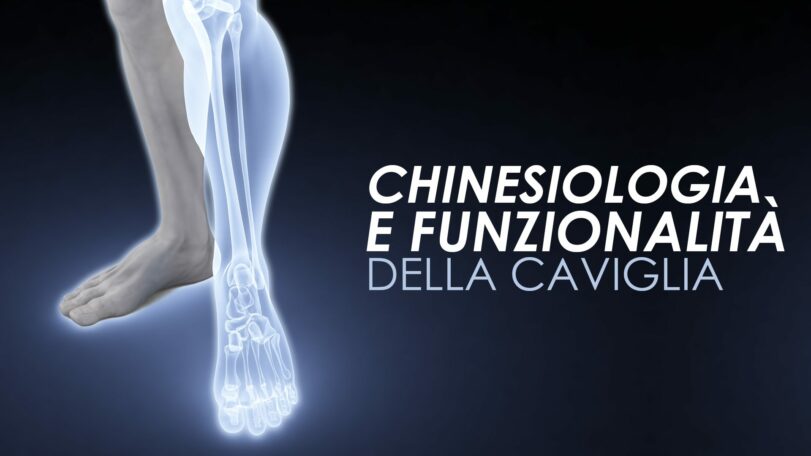 Chinesiologia e funzionalità della caviglia