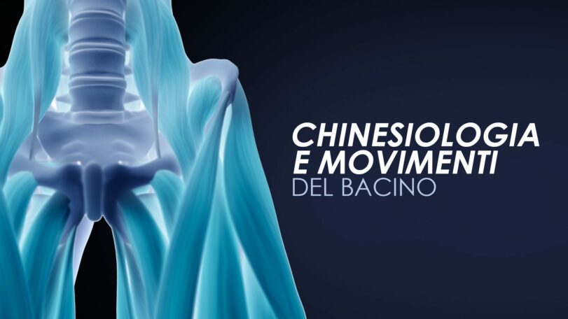 Chinesiologia e movimenti del bacino