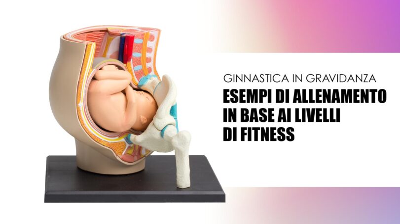 Gravidanza: esempi di allenamento in base al livello di fitness