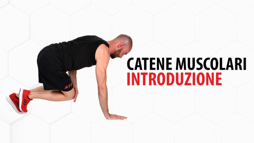 Introduzione alle catene muscolari