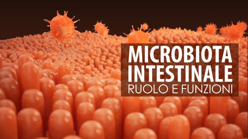 Microbiota: ruolo e funzioni