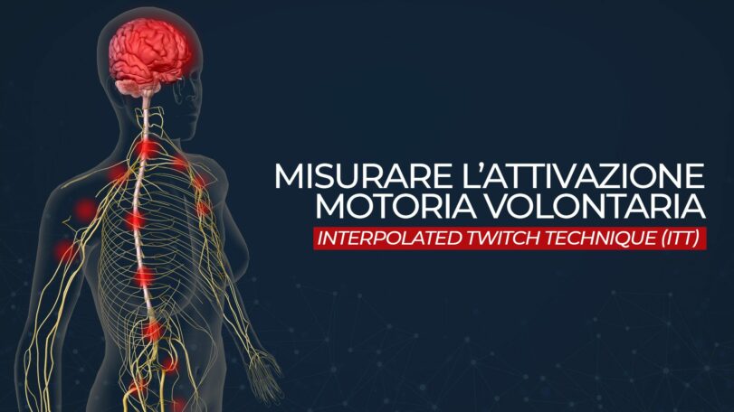 Misurare l'attivazione motoria volontaria attraverso l'L’Interpolated Twitch Technique (ITT)