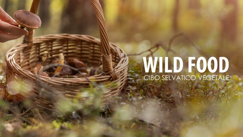 Wild food: cibo selvatico vegetale