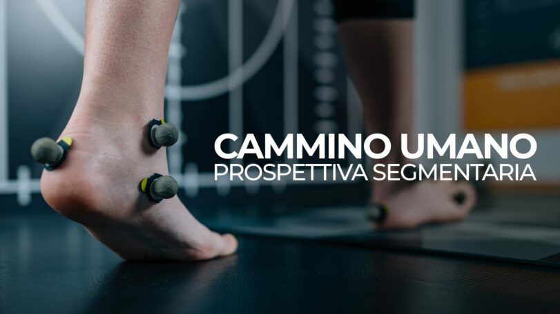 Cammino umano: prospettiva segmentaria