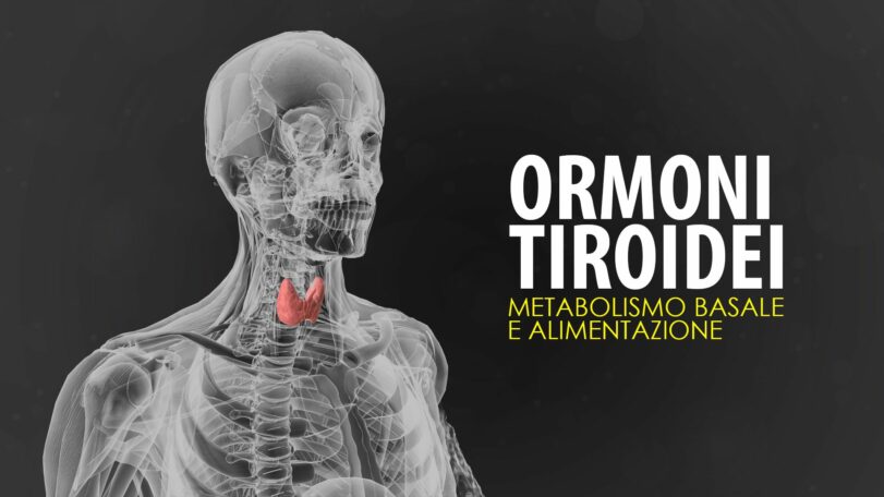 Ormoni tiroidei: metabolismo basale e alimentazione