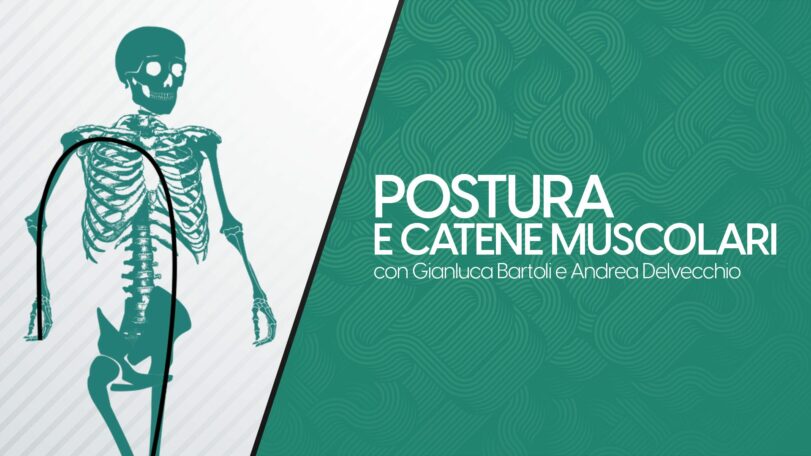 Postura e catene muscolari