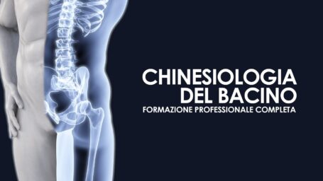 Chinesiologia del bacino