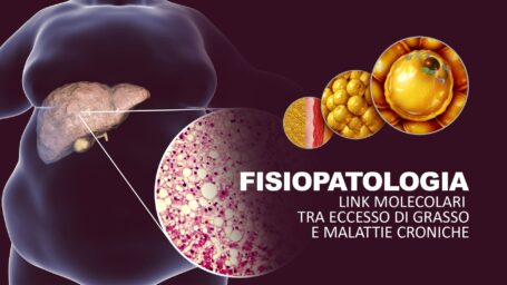 Fisiopatologia: link molecolari tra eccesso di grasso e malattie croniche