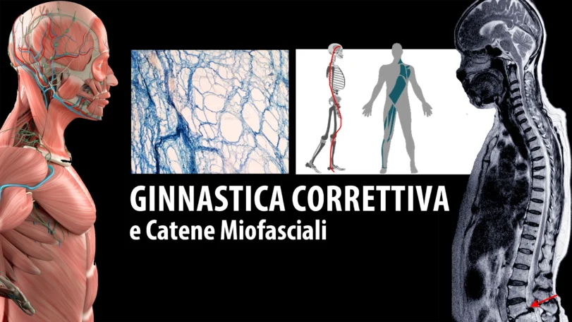 Ginnastica Correttiva 