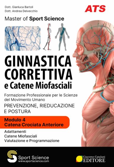 Catena crociata anteriore