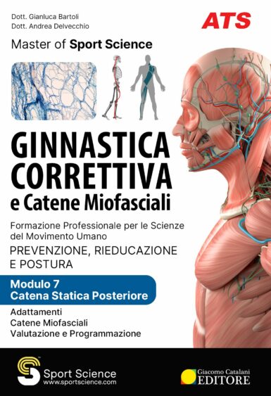 Catena statica posteriore