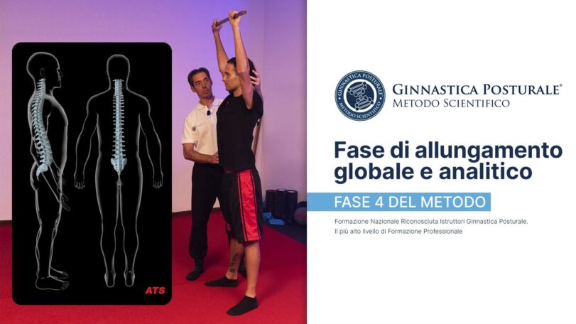 Fase 4 del Metodo Ginnastica Posturale: allungamento globale e analitico