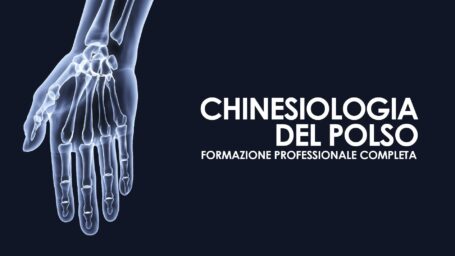 Chinesiologia del polso