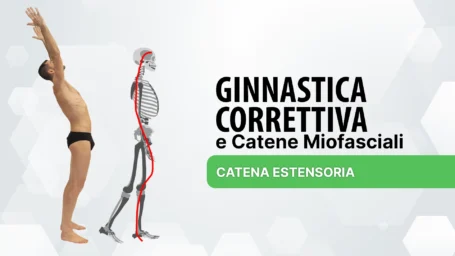 Ginnastica Correttiva: catena estensoria