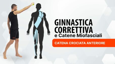 Ginnastica Correttiva: catena crociata anteriore