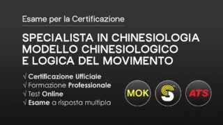 Specialista in Chinesiologia - Modello Chinesiologico e logica del movimento