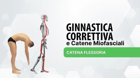 Ginnastica Correttiva: catena flessoria