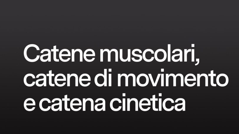 Catene muscolari, catene di movimento e catena cinetica