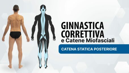 Ginnastica Correttiva: catena statica posteriore