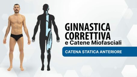 Ginnastica Correttiva: catena statica anteriore