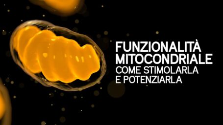 Funzionalità mitocondriale: come stimolarla e potenziarla