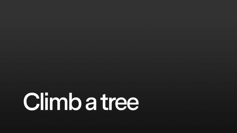Climb a tree