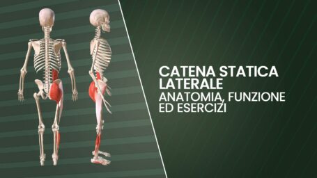 Catena statica laterale: anatomia, valutazione ed esercizi