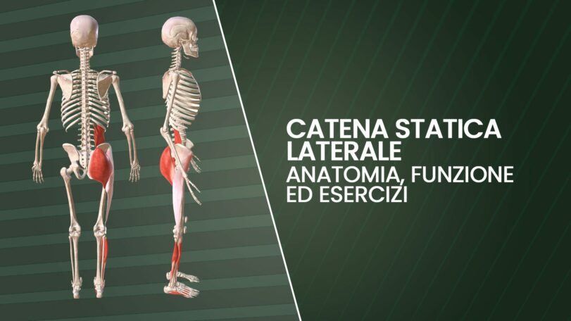 Catena statica laterale: anatomia, valutazione ed esercizi