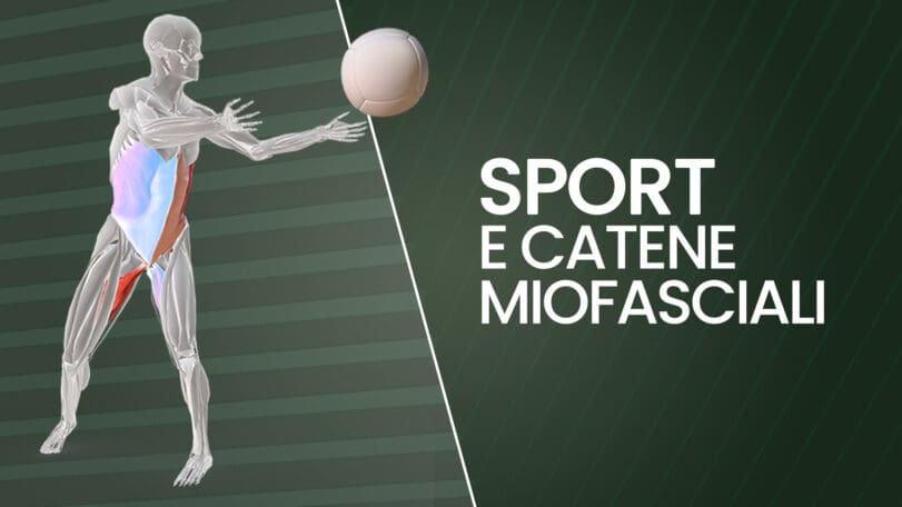 Sport e catene miofasciali