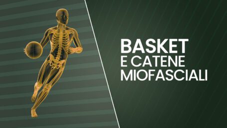 Basket e catene miofasciali