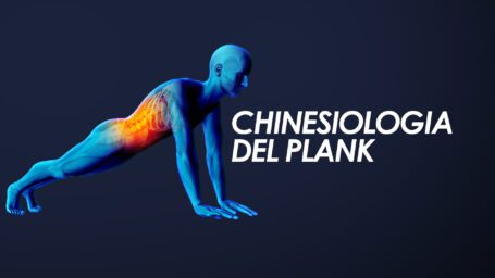 Chinesiologia del plank