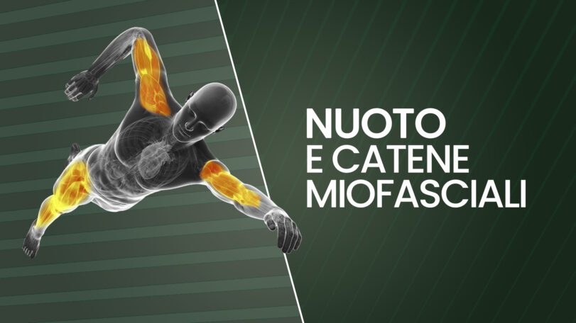 Nuoto e catene miofasciali